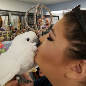 Meet your Posher, April